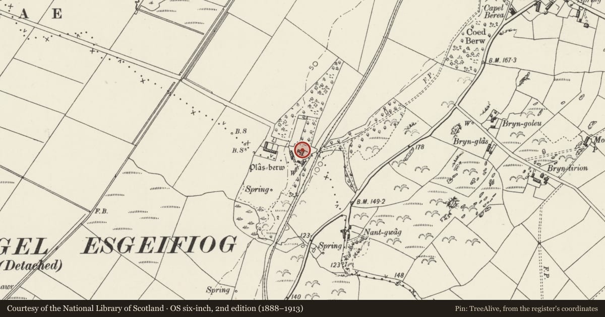Ordnance Survey six-inch map, 2nd edition (1888–1913) covering the location of Plas Berw with courtyard and walls, Llanfihangel Ysgeifiog, Isle of Anglesey, with a pin at the register's coordinates