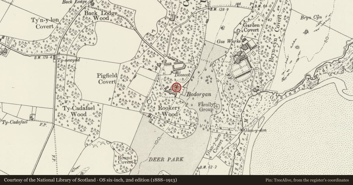 Ordnance Survey six-inch map, 2nd edition (1888–1913) covering the location of Bodorgan, Isle of Anglesey, with a pin at the register's coordinates