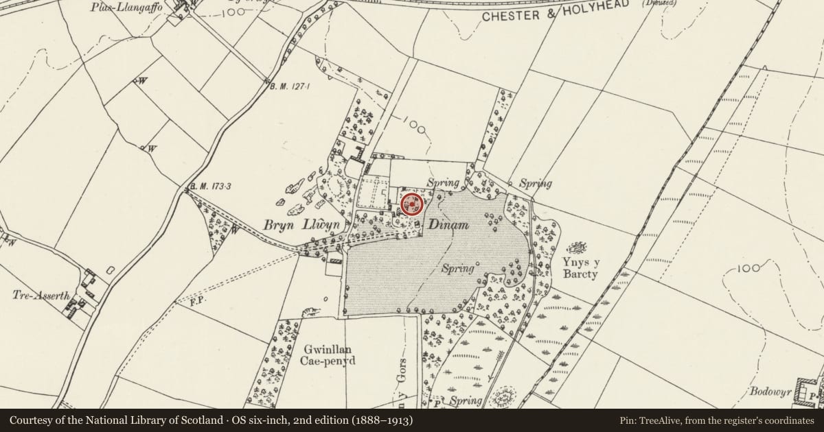 Ordnance Survey six-inch map, 2nd edition (1888–1913) covering the location of Wall of enclosed garden of Dinam and gateway, Rhosyr, Isle of Anglesey, with a pin at the register's coordinates