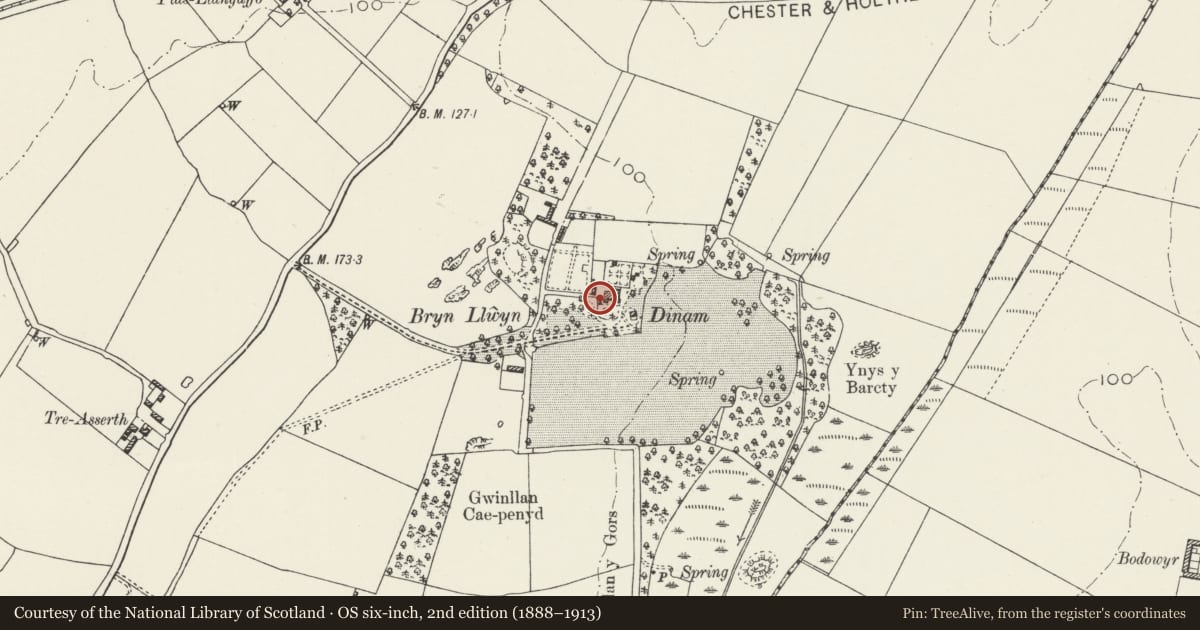 Ordnance Survey six-inch map, 2nd edition (1888–1913) covering the location of Cartshed and game larder at Dinam, Rhosyr, Isle of Anglesey, with a pin at the register's coordinates