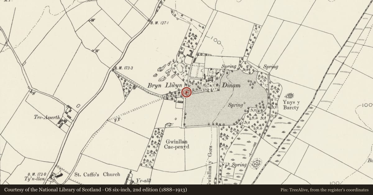 Ordnance Survey six-inch map, 2nd edition (1888–1913) covering the location of Gate piers and gate of Dinam, Rhosyr, Isle of Anglesey, with a pin at the register's coordinates