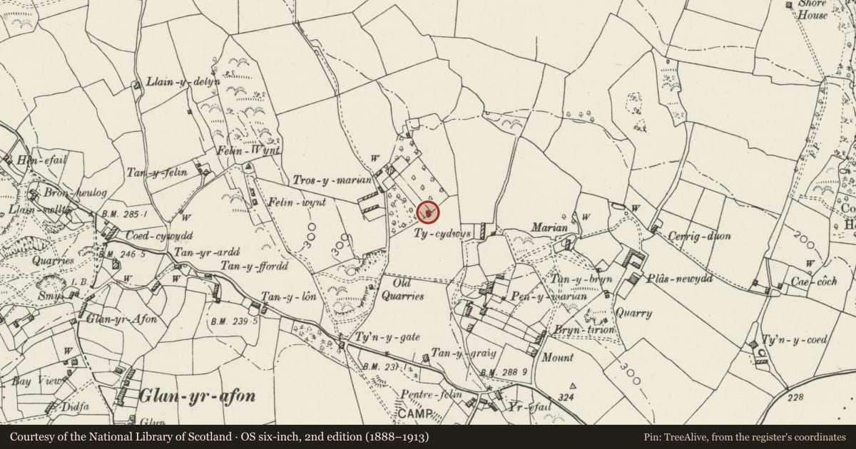 Ordnance Survey six-inch map, 2nd edition (1888–1913) covering the location of Walls of enclosed garden and summerhouse at Tros-y-marian, Llangoed, Isle of Anglesey, with a pin at the register's coordinates