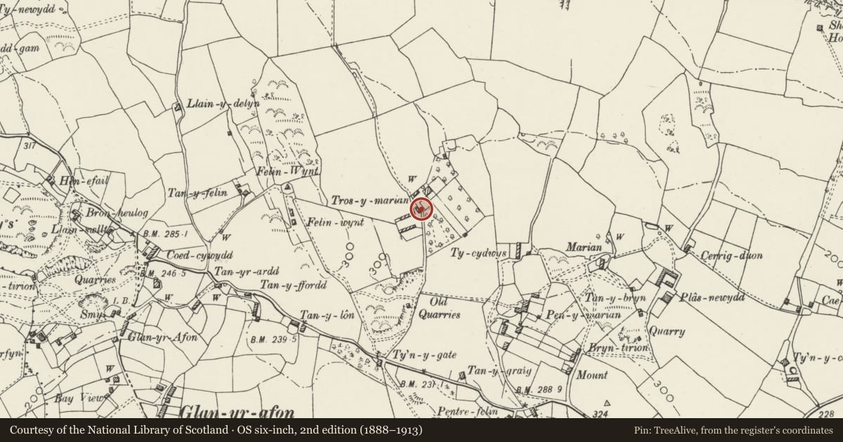 Ordnance Survey six-inch map, 2nd edition (1888–1913) covering the location of Gate piers, Tros-y-marian, Llangoed, Isle of Anglesey, with a pin at the register's coordinates