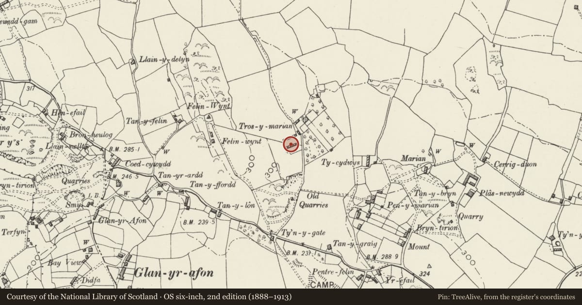 Ordnance Survey six-inch map, 2nd edition (1888–1913) covering the location of Barn and dovecote, Tros-y-marian, Llangoed, Isle of Anglesey, with a pin at the register's coordinates