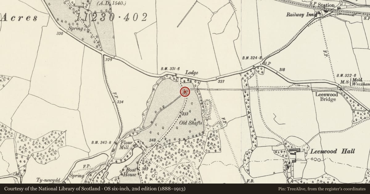 Ordnance Survey six-inch map, 2nd edition (1888–1913) covering the location of Bridge over River Terrig at former N Driveway to Leeswood Hall, Leeswood and Pontblyddyn, Flintshire, with a pin at the register's coordinates