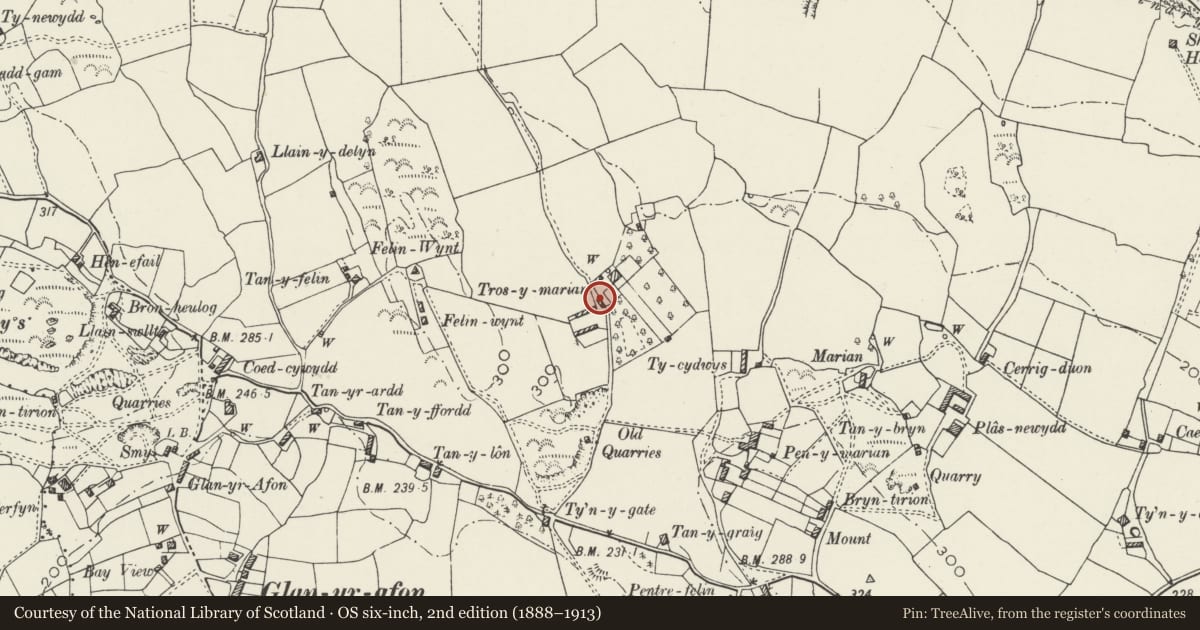 Ordnance Survey six-inch map, 2nd edition (1888–1913) covering the location of Stable range at Tros-y-marian, Llangoed, Isle of Anglesey, with a pin at the register's coordinates