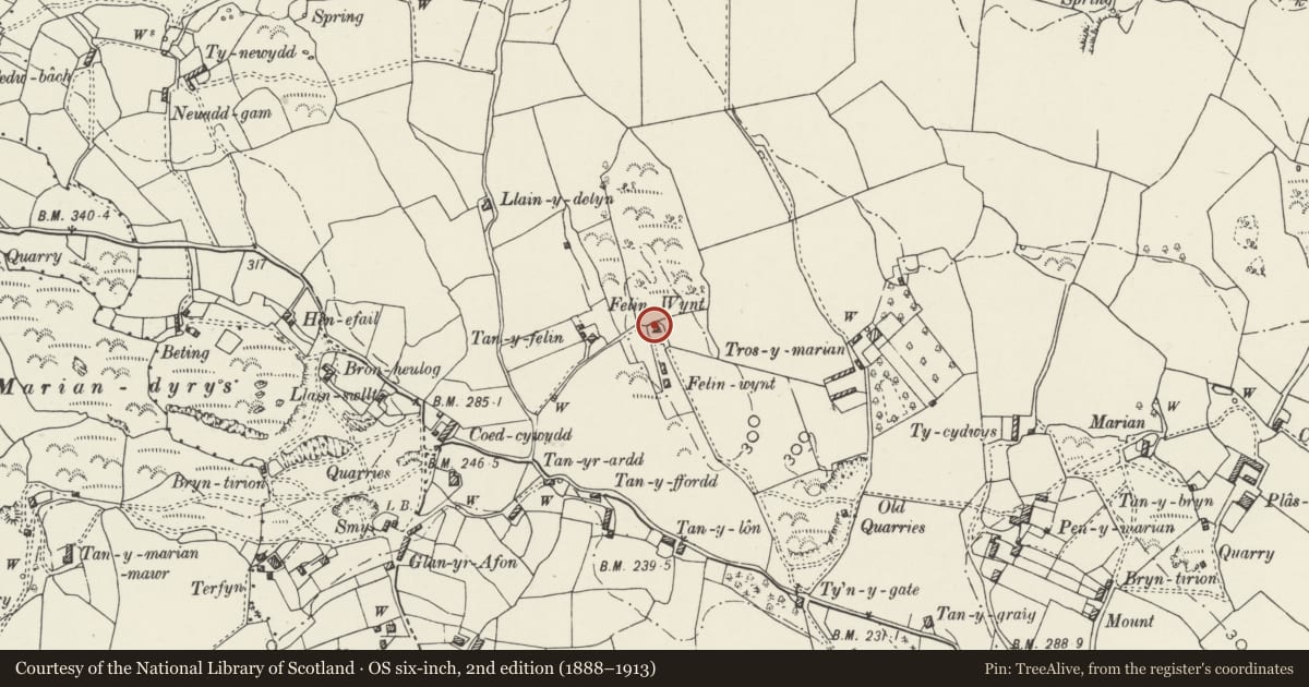 Ordnance Survey six-inch map, 2nd edition (1888–1913) covering the location of Felin Wynt, Llangoed, Isle of Anglesey, with a pin at the register's coordinates