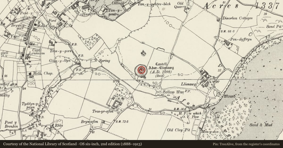 Ordnance Survey six-inch map, 2nd edition (1888–1913) covering the location of Castell Aberlleiniog, Llangoed, Isle of Anglesey, with a pin at the register's coordinates