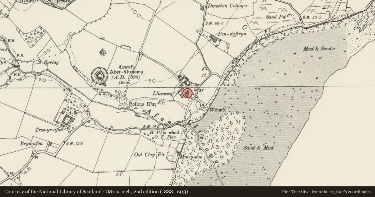 Ordnance Survey six-inch map, 2nd edition (1888–1913) covering the location of Lleiniog, Llangoed, Isle of Anglesey, with a pin at the register's coordinates