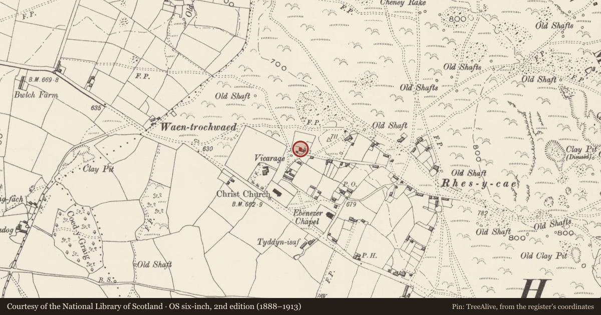Ordnance Survey six-inch map, 2nd edition (1888–1913) covering the location of Beehive Pigsty at Peacock Farm, Halkyn, Flintshire, with a pin at the register's coordinates