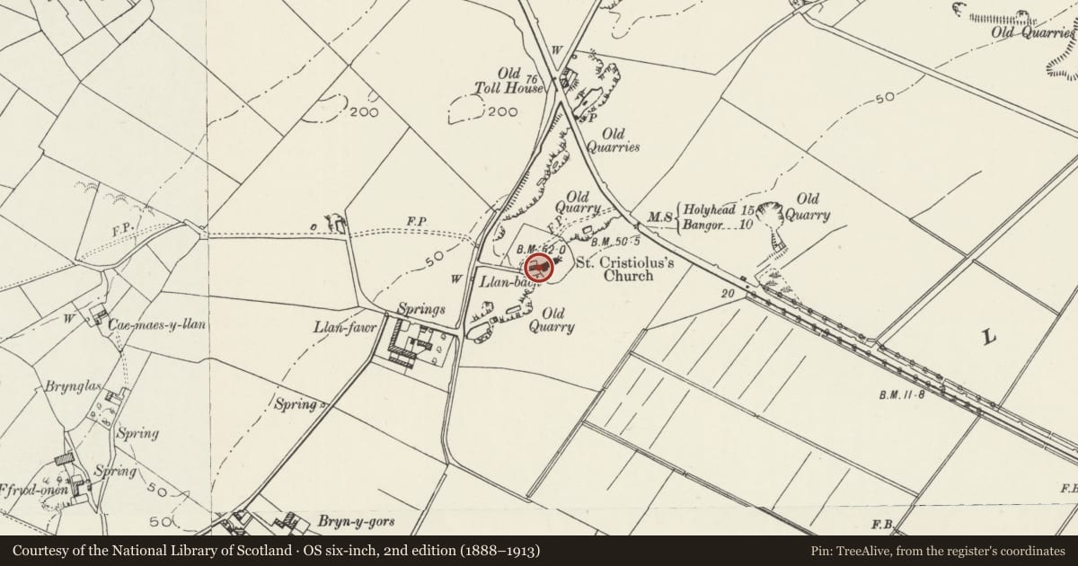 Ordnance Survey six-inch map, 2nd edition (1888–1913) covering the location of Llan-bach, Llangristiolus, Isle of Anglesey, with a pin at the register's coordinates
