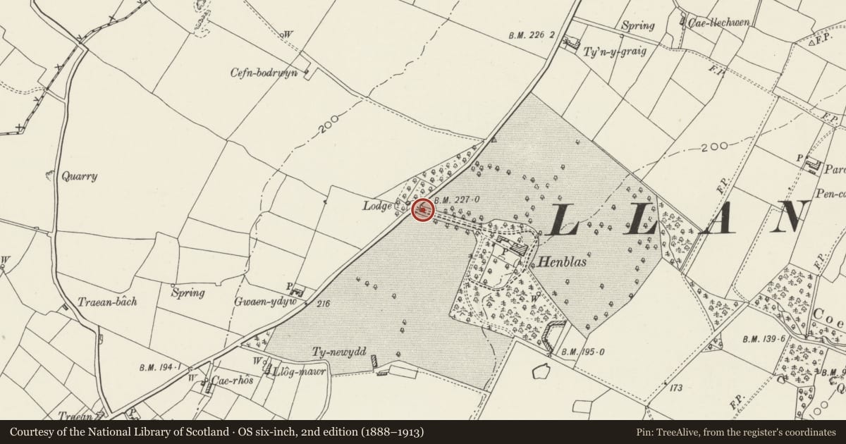 Ordnance Survey six-inch map, 2nd edition (1888–1913) covering the location of Gate piers at drive entrance of Henblas, Llangristiolus, Isle of Anglesey, with a pin at the register's coordinates