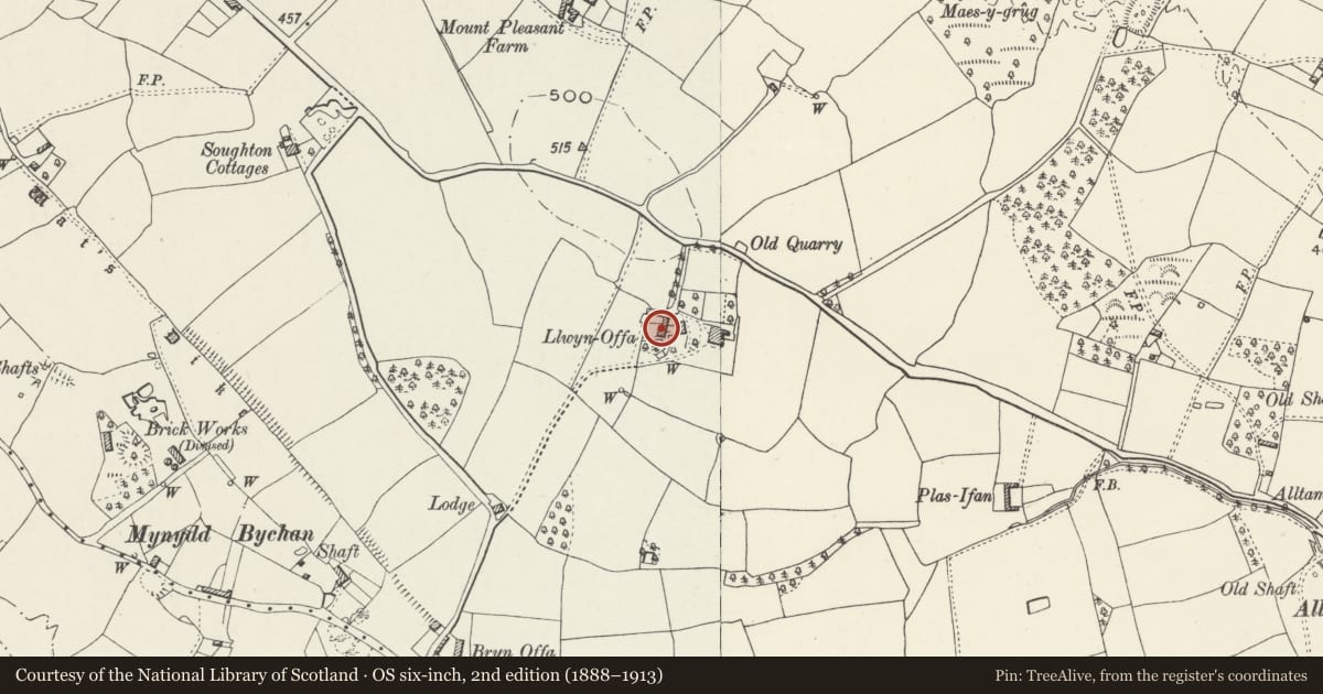Ordnance Survey six-inch map, 2nd edition (1888–1913) covering the location of Farm Building at Llwyn Offa Farm, Northop, Flintshire, with a pin at the register's coordinates
