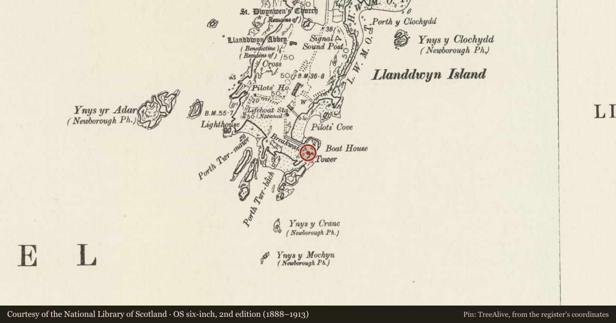 Ordnance Survey six-inch map, 2nd edition (1888–1913) covering the location of Tower (Twr Bach), Rhosyr, Isle of Anglesey, with a pin at the register's coordinates