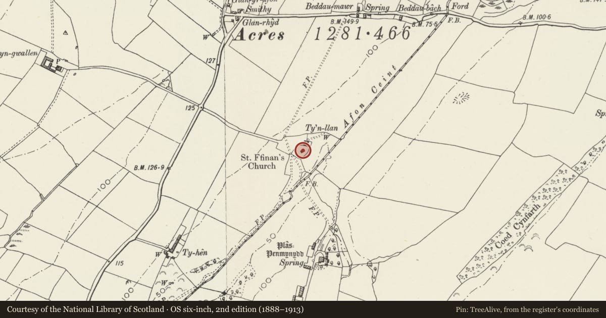 Ordnance Survey six-inch map, 2nd edition (1888–1913) covering the location of Church of St Ffinan, Llanddyfnan, Isle of Anglesey, with a pin at the register's coordinates
