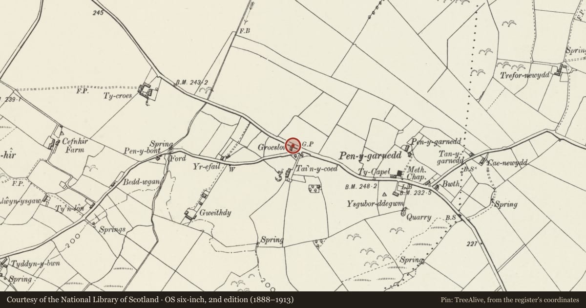 Ordnance Survey six-inch map, 2nd edition (1888–1913) covering the location of Groeslon, Pentraeth, Isle of Anglesey, with a pin at the register's coordinates