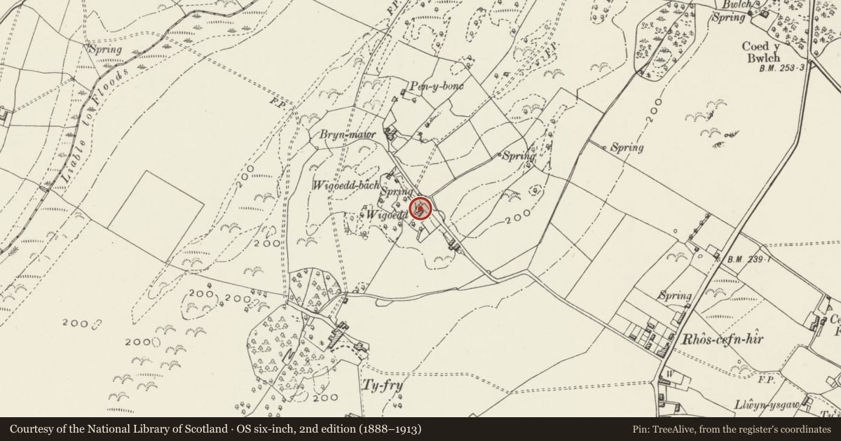 Ordnance Survey six-inch map, 2nd edition (1888–1913) covering the location of Wigoedd, Pentraeth, Isle of Anglesey, with a pin at the register's coordinates
