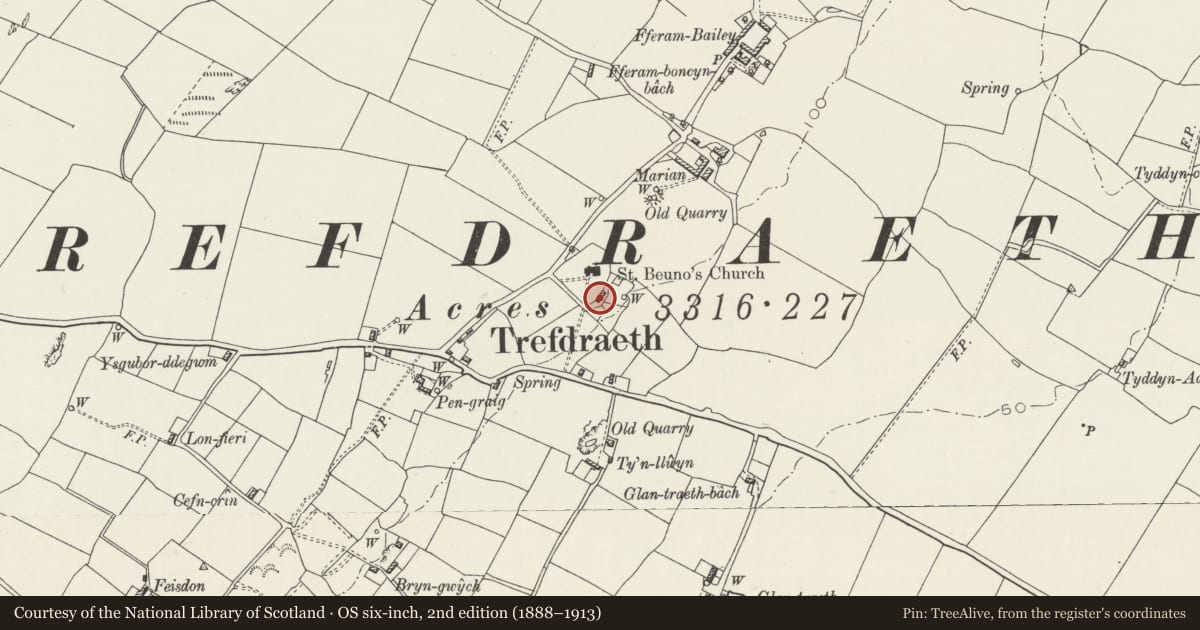 Ordnance Survey six-inch map, 2nd edition (1888–1913) covering the location of Ty'n Llan, Bodorgan, Isle of Anglesey, with a pin at the register's coordinates