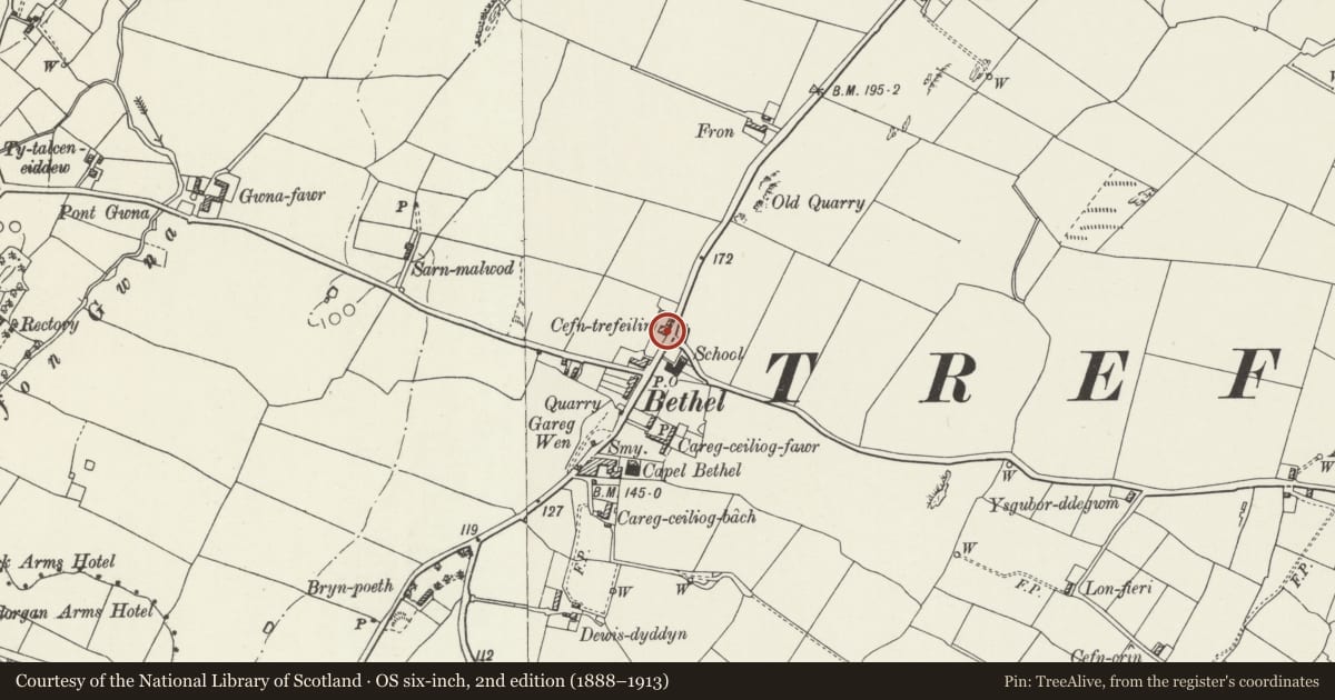Ordnance Survey six-inch map, 2nd edition (1888–1913) covering the location of Cefn-Trefeiler, Bodorgan, Isle of Anglesey, with a pin at the register's coordinates