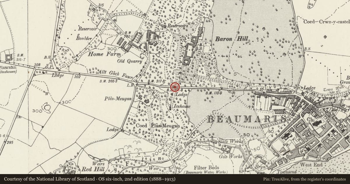 Ordnance Survey six-inch map, 2nd edition (1888–1913) covering the location of Bridge over B5109 on drive to Baron Hill, Beaumaris, Isle of Anglesey, with a pin at the register's coordinates