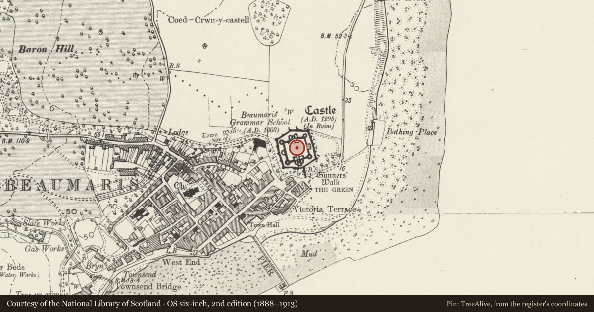 Ordnance Survey six-inch map, 2nd edition (1888–1913) covering the location of Beaumaris Castle, Isle of Anglesey, with a pin at the register's coordinates