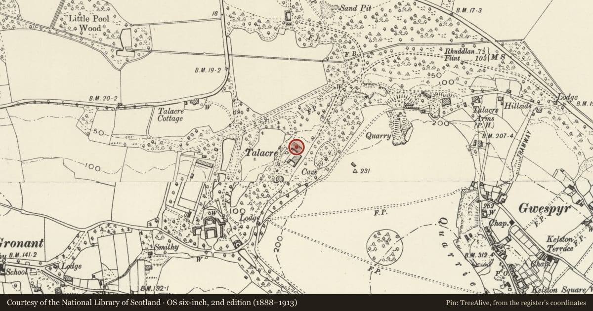 Ordnance Survey six-inch map, 2nd edition (1888–1913) covering the location of Talacre Abbey, Llanasa, Flintshire, with a pin at the register's coordinates