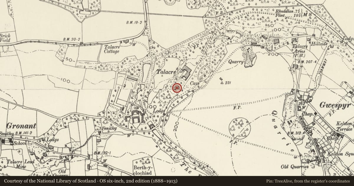 Ordnance Survey six-inch map, 2nd edition (1888–1913) covering the location of Riding school & stable at Talacre Abbey, Llanasa, Flintshire, with a pin at the register's coordinates