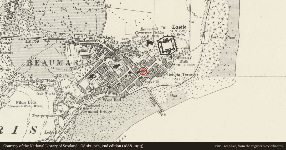 Ordnance Survey six-inch map, 2nd edition (1888–1913) covering the location of House and The Pet Owners Store, Beaumaris, Isle of Anglesey, with a pin at the register's coordinates