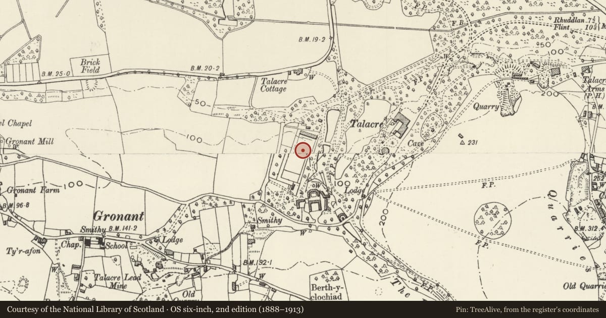 Ordnance Survey six-inch map, 2nd edition (1888–1913) covering the location of Walled garden with attached bothies and greenhouses at Talacre Abbey, Llanasa, Flintshire, with a pin at the register's coordinates