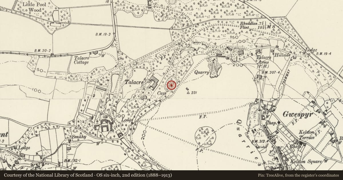 Ordnance Survey six-inch map, 2nd edition (1888–1913) covering the location of Folly Tower at Talacre Abbey, Llanasa, Flintshire, with a pin at the register's coordinates