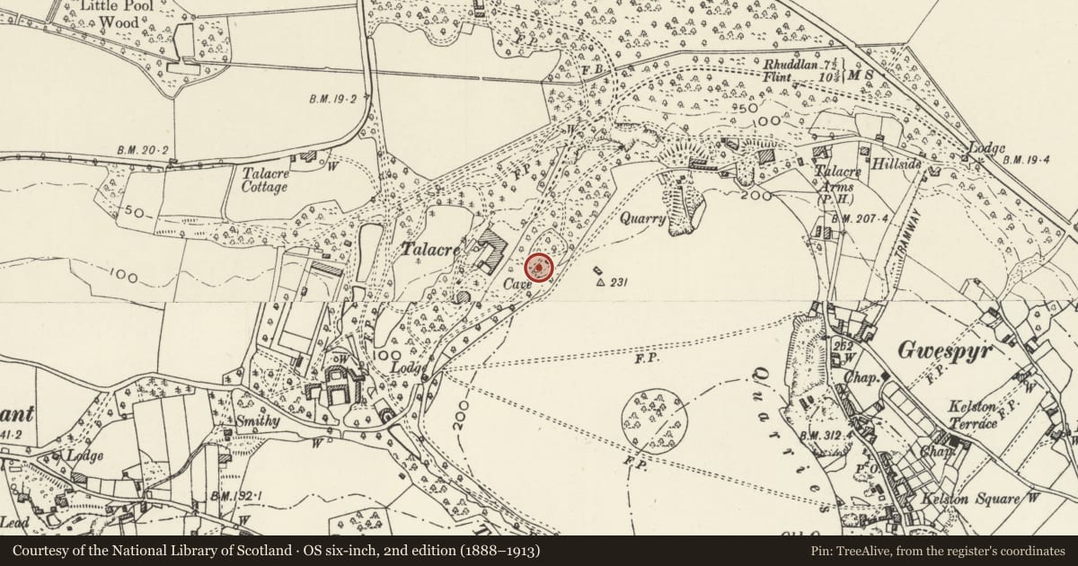Ordnance Survey six-inch map, 2nd edition (1888–1913) covering the location of Grotto adjoining Folly Tower at Talacre Abbey, Llanasa, Flintshire, with a pin at the register's coordinates
