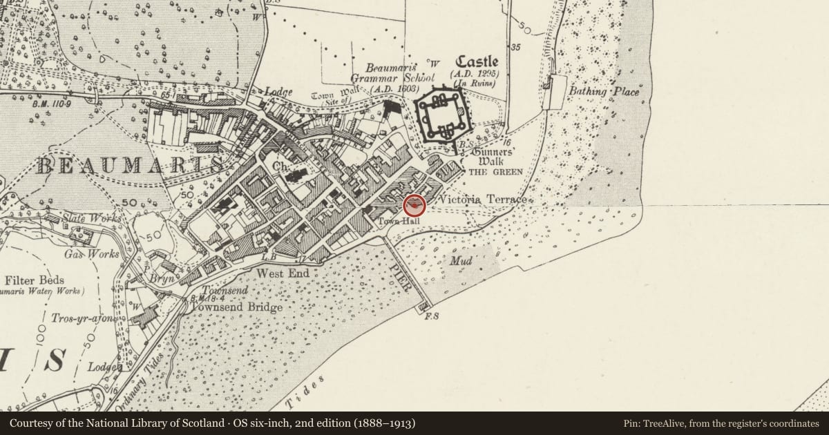 Ordnance Survey six-inch map, 2nd edition (1888–1913) covering the location of Victoria Terrace, including short section of forecourt railings to left, Beaumaris, Isle of Anglesey, with a pin at the register's coordinates