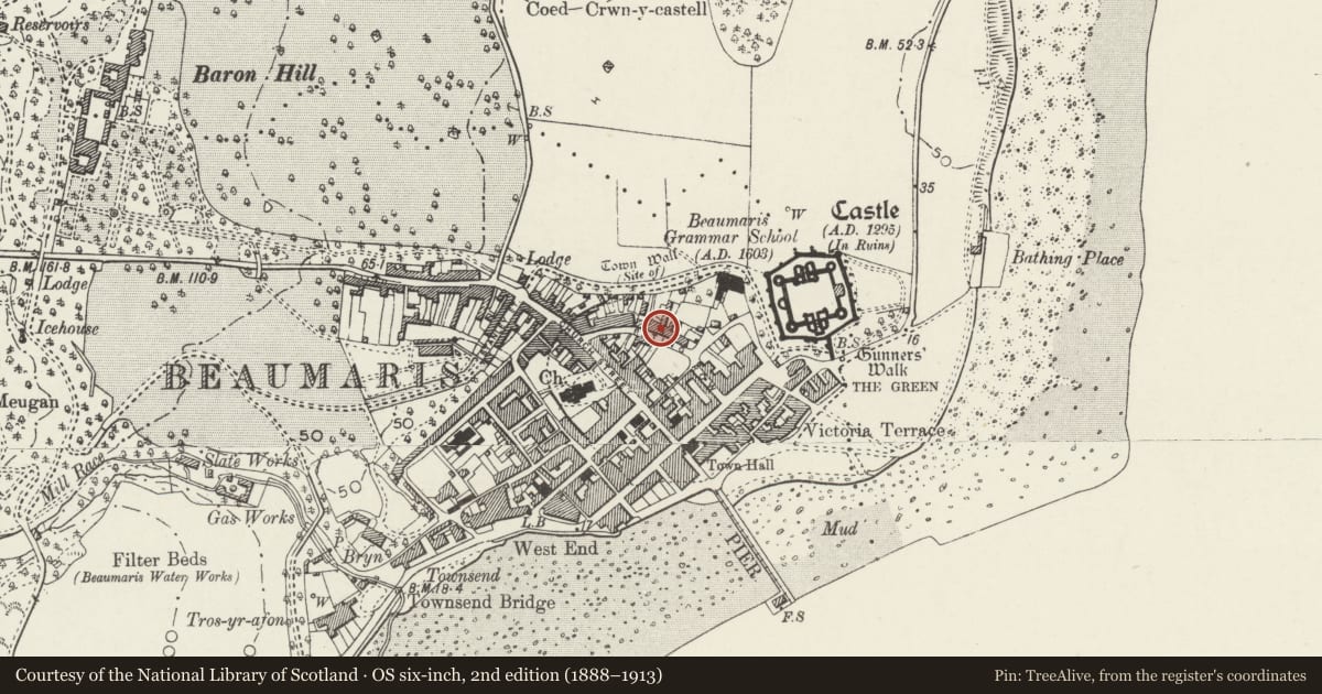 Ordnance Survey six-inch map, 2nd edition (1888–1913) covering the location of Olinda, Beaumaris, Isle of Anglesey, with a pin at the register's coordinates