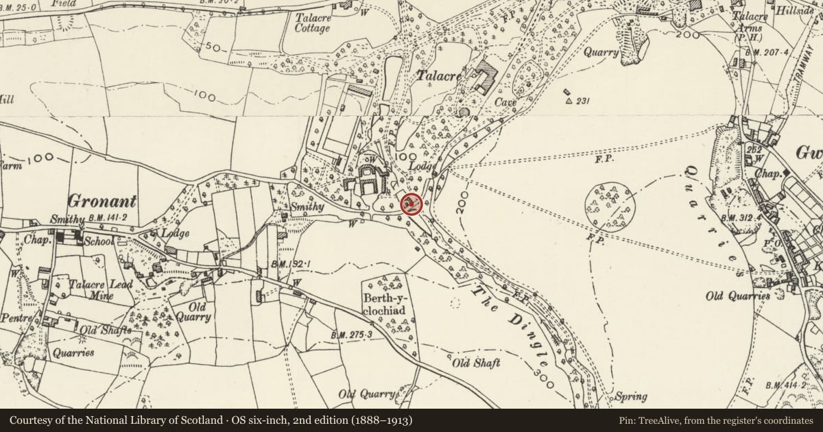 Ordnance Survey six-inch map, 2nd edition (1888–1913) covering the location of Kennels, cottage and saw mill at Talacre Abbey (also known as The Kennels), Llanasa, Flintshire, with a pin at the register's coordinates