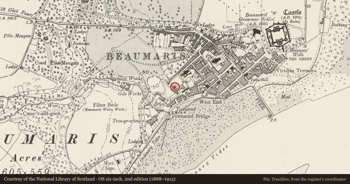 Ordnance Survey six-inch map, 2nd edition (1888–1913) covering the location of Garden wall on W and N sides of The Orchard and The Hermitage, Beaumaris, Isle of Anglesey, with a pin at the register's coordinates