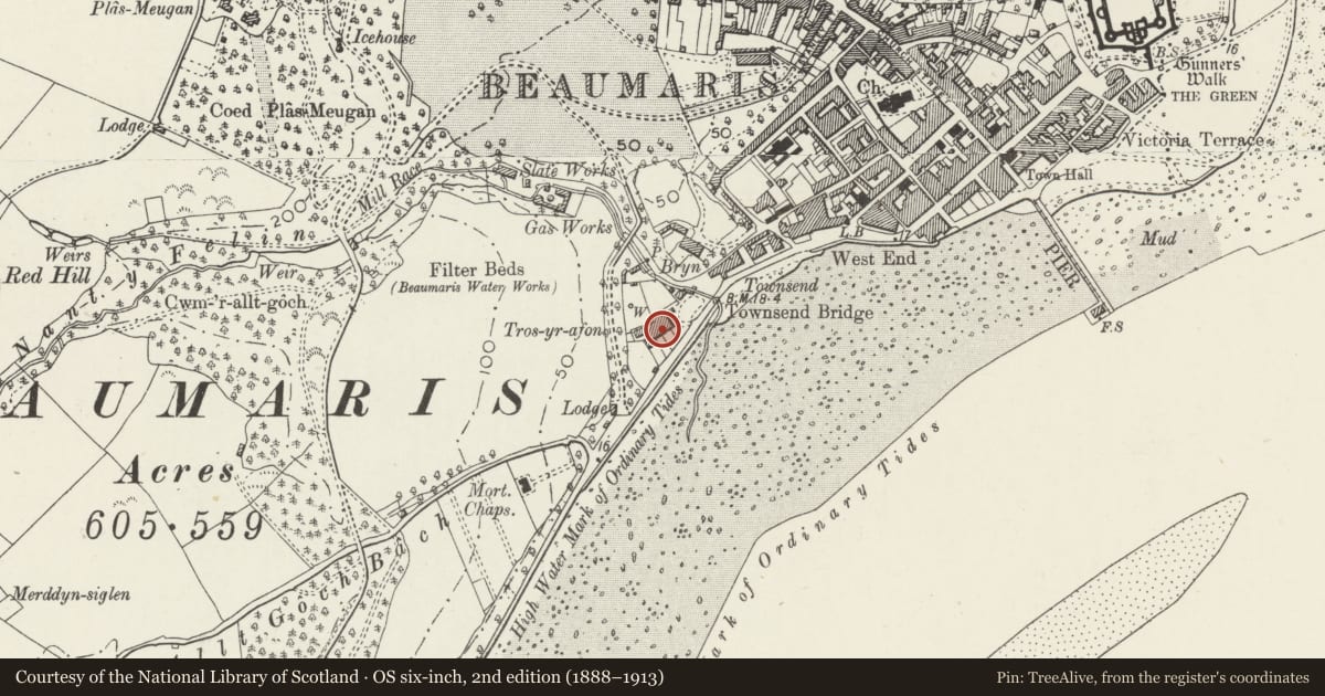 Ordnance Survey six-inch map, 2nd edition (1888–1913) covering the location of 2 Tros yr Afon, Beaumaris, Isle of Anglesey, with a pin at the register's coordinates