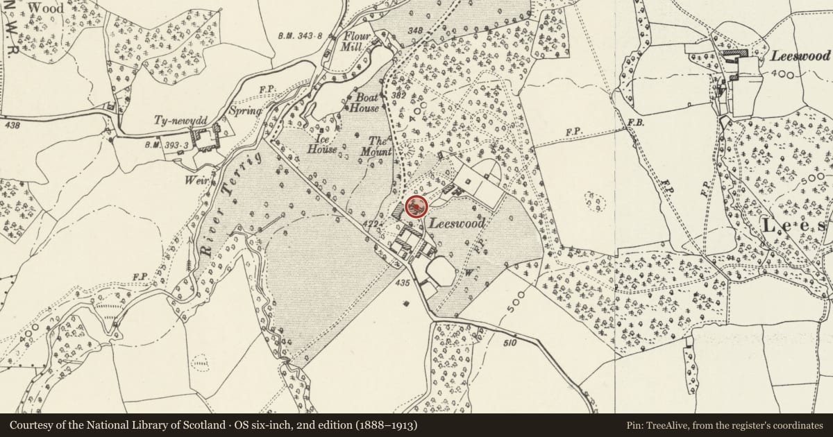 Ordnance Survey six-inch map, 2nd edition (1888–1913) covering the location of Walled Garden including Stone Piers, Cottage and Vine House E of Leeswood Hall, Leeswood and Pontblyddyn, Flintshire, with a pin at the register's coordinates