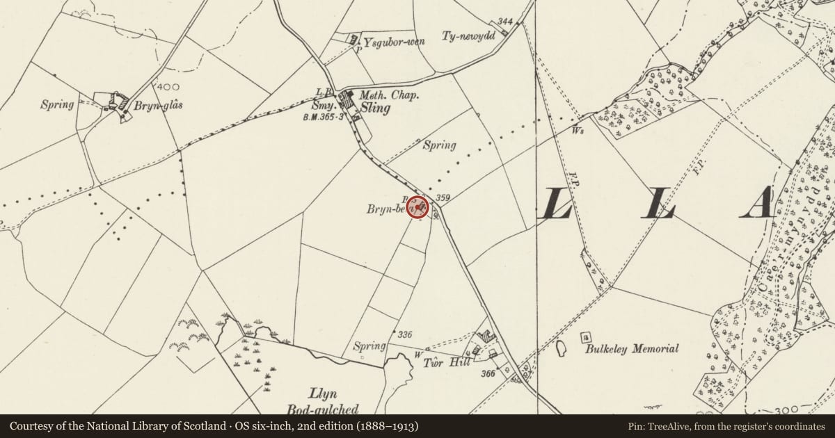 Ordnance Survey six-inch map, 2nd edition (1888–1913) covering the location of Bryn Bela, Beaumaris, Isle of Anglesey, with a pin at the register's coordinates