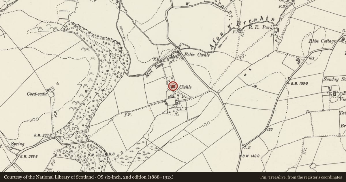 Ordnance Survey six-inch map, 2nd edition (1888–1913) covering the location of Plas Cichle, Beaumaris, Isle of Anglesey, with a pin at the register's coordinates