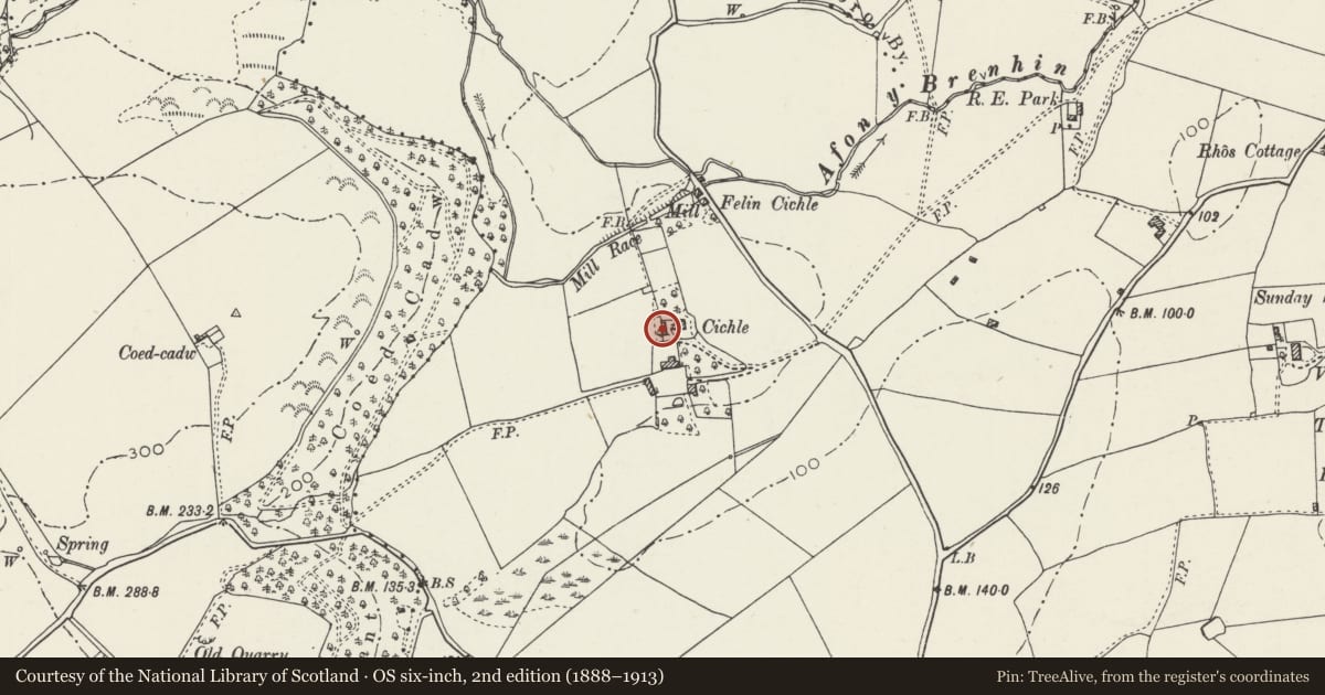 Ordnance Survey six-inch map, 2nd edition (1888–1913) covering the location of Outbuilding on the W side of Plas Cichle, Beaumaris, Isle of Anglesey, with a pin at the register's coordinates