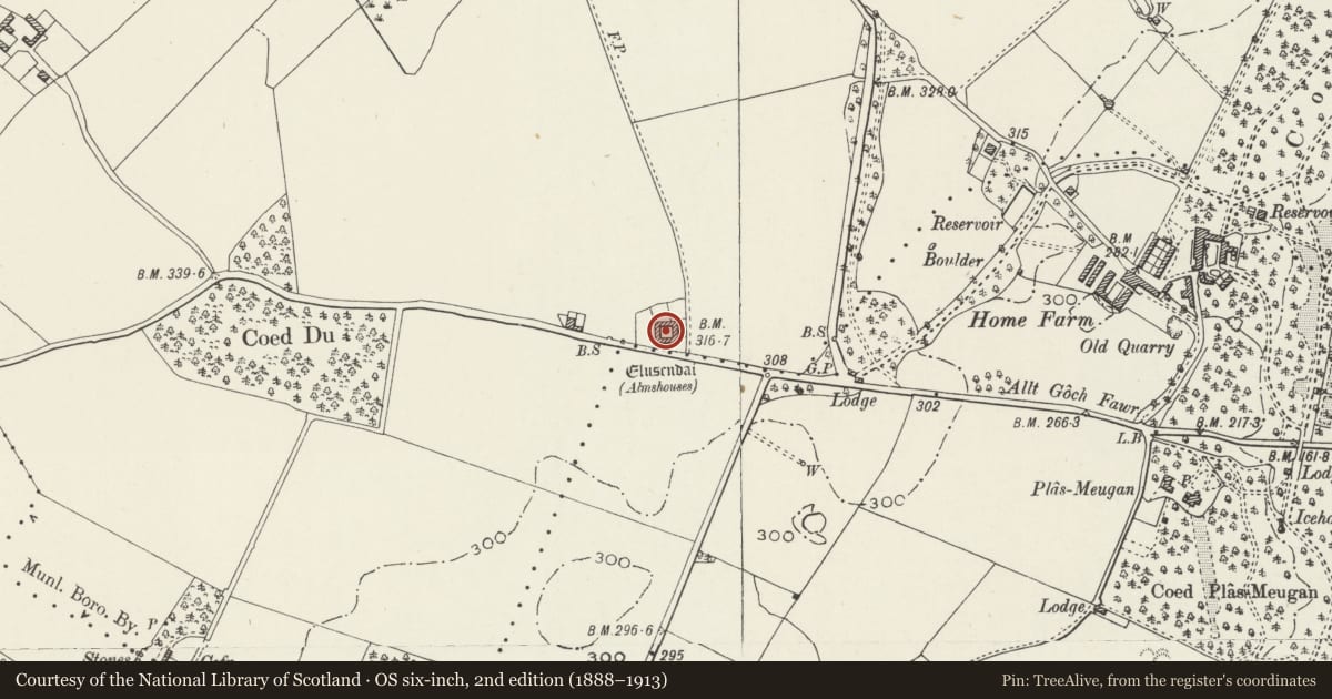 Ordnance Survey six-inch map, 2nd edition (1888–1913) covering the location of Elusendai, Beaumaris, Isle of Anglesey, with a pin at the register's coordinates