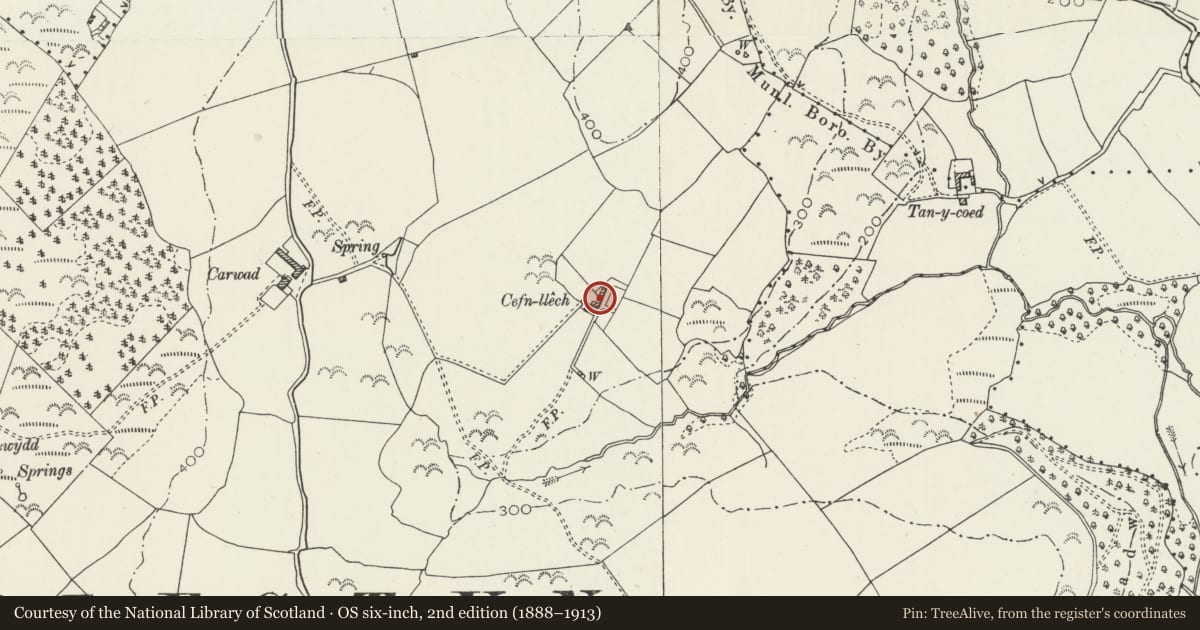 Ordnance Survey six-inch map, 2nd edition (1888–1913) covering the location of Cefn Llech, Llanddona, Isle of Anglesey, with a pin at the register's coordinates