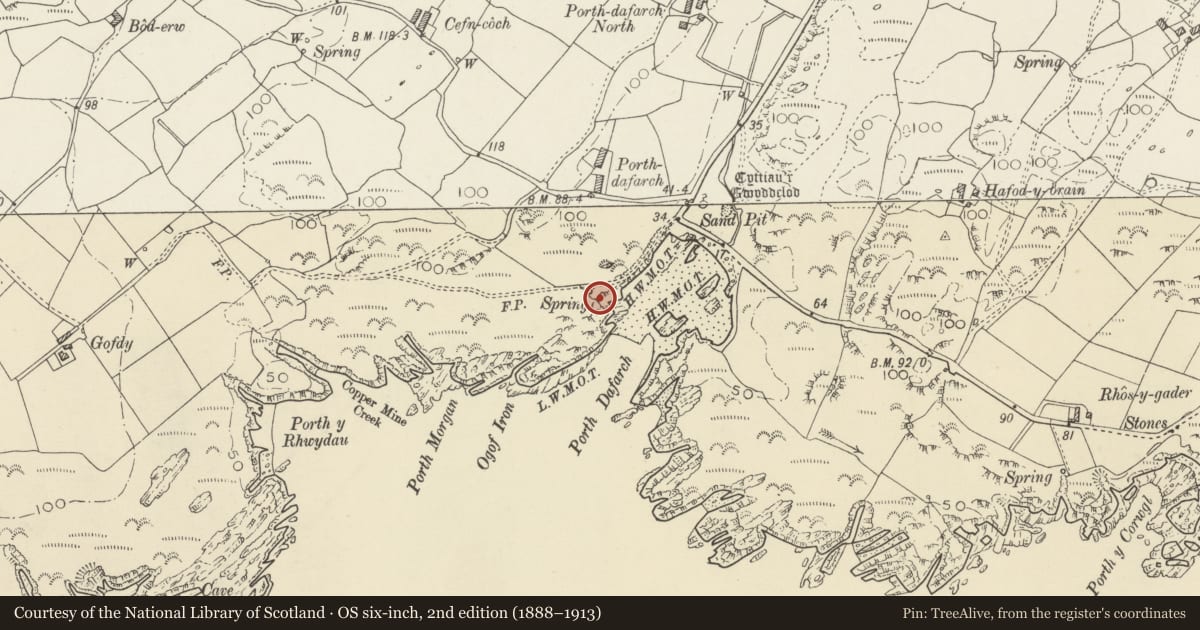 Ordnance Survey six-inch map, 2nd edition (1888–1913) covering the location of Old Customs Post, Trearddur, Isle of Anglesey, with a pin at the register's coordinates