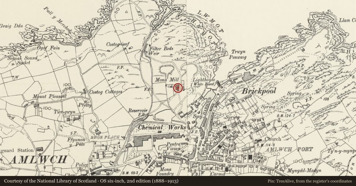 Ordnance Survey six-inch map, 2nd edition (1888–1913) covering the location of Mona Windmill, Amlwch, Isle of Anglesey, with a pin at the register's coordinates