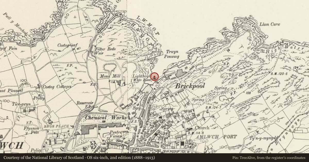 Ordnance Survey six-inch map, 2nd edition (1888–1913) covering the location of Pier at the entrance of the old harbour, Amlwch, Isle of Anglesey, with a pin at the register's coordinates