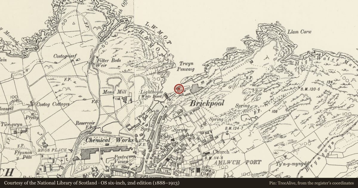 Ordnance Survey six-inch map, 2nd edition (1888–1913) covering the location of Dry dock, Amlwch, Isle of Anglesey, with a pin at the register's coordinates