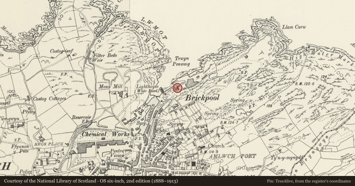 Ordnance Survey six-inch map, 2nd edition (1888–1913) covering the location of Sail Loft, Amlwch, Isle of Anglesey, with a pin at the register's coordinates