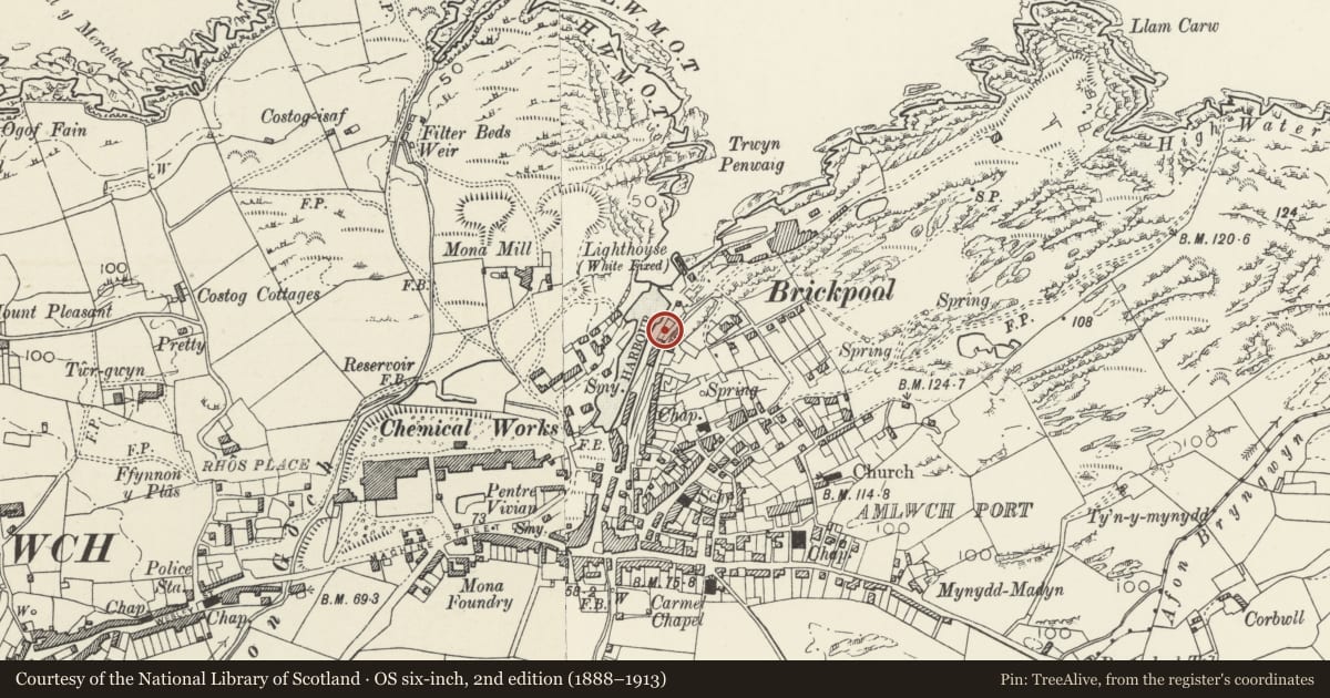 Ordnance Survey six-inch map, 2nd edition (1888–1913) covering the location of Copper Hoppers, Amlwch, Isle of Anglesey, with a pin at the register's coordinates