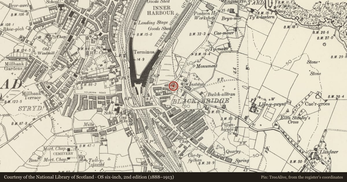 Ordnance Survey six-inch map, 2nd edition (1888–1913) covering the location of Tanalltran Cottages, Holyhead, Isle of Anglesey, with a pin at the register's coordinates