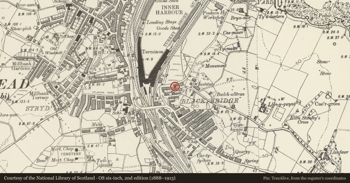 Ordnance Survey six-inch map, 2nd edition (1888–1913) covering the location of Plas Alltran, Holyhead, Isle of Anglesey, with a pin at the register's coordinates